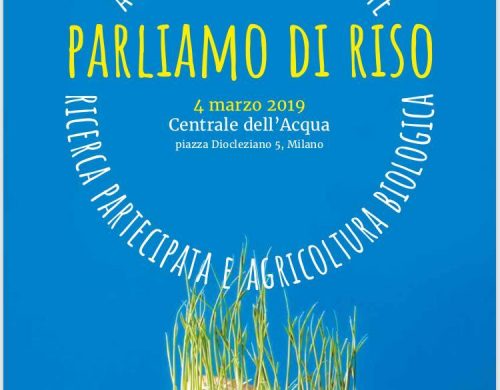 PARLIAMO DI RISO